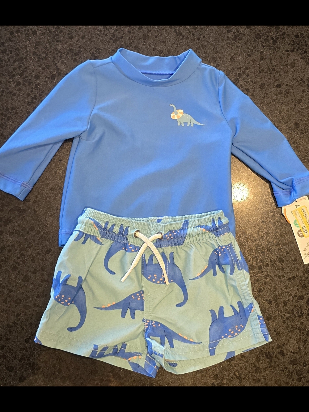 Carter's Blue Infant Rash Guard/Trunks Set with Dino Accent